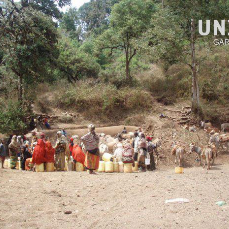 Cairo-Cape Town 2008