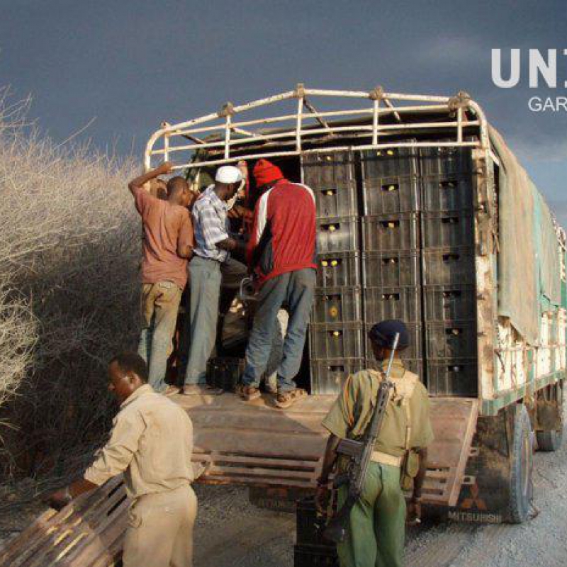 Cairo-Cape Town 2008