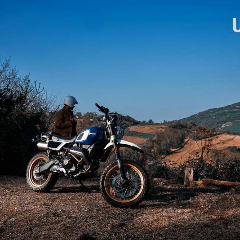 Ducati Scrambler-Desert Sled