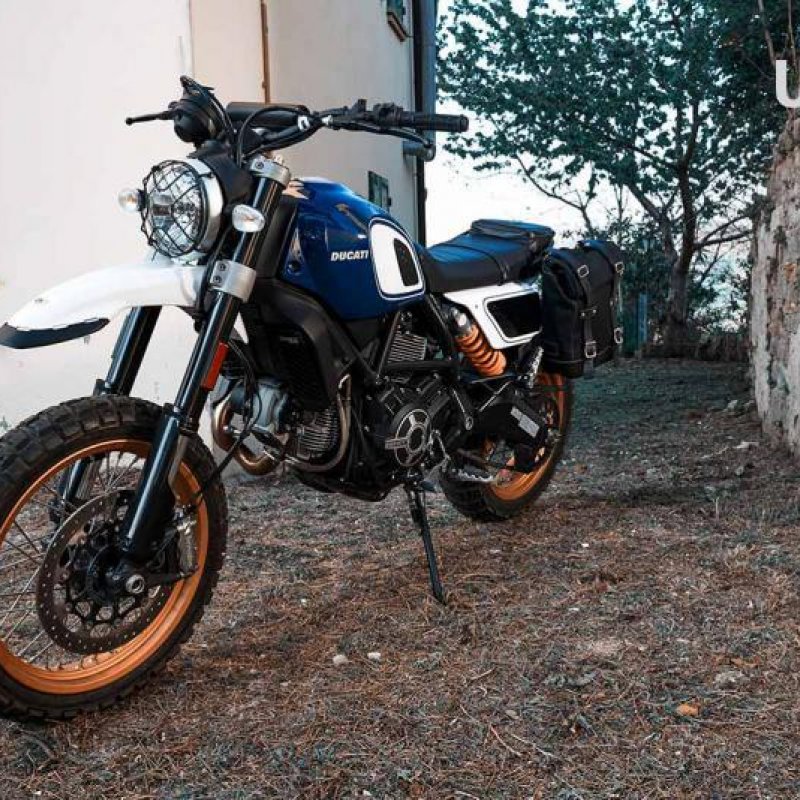 Ducati Scrambler-Desert Sled
