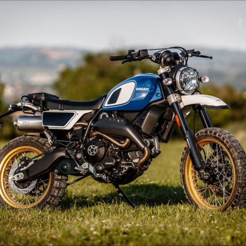 Ducati Scrambler-Desert Sled