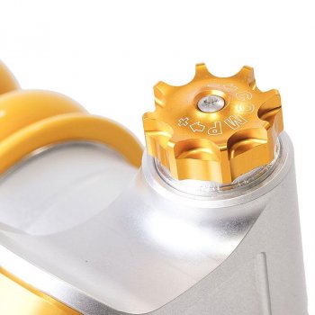 后减震器 Ohlins R NineT（标准高度）