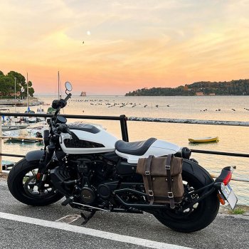 分体皮革侧包 + Sportster S 1250 左车架