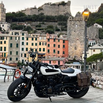 分体皮革侧包 + Sportster S 1250 左车架