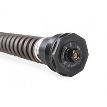 Öhlins Nix 30mm 街道前叉筒 Harley Davidson CVO Road Glide（2023 年起）