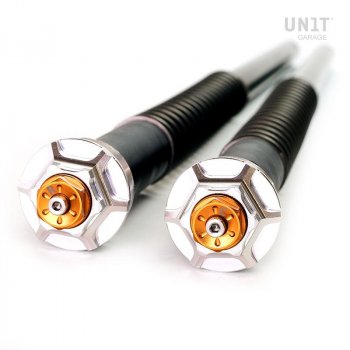 凯旋式加速器的叉式弹药筒