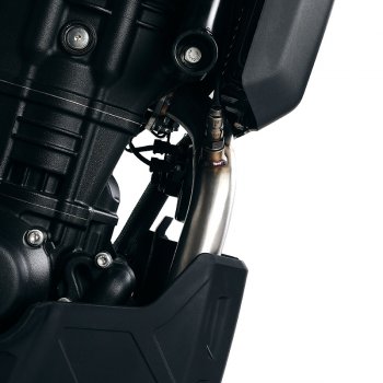 无催化剂的排气歧管 Royal Enfield Himalayan 450（2024 年起）