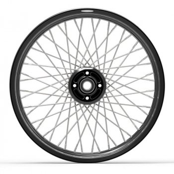 一对辐条轮R100RS 48M6（DISC BRAKE）