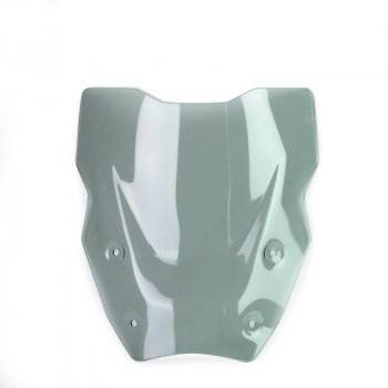 带雷达的 L 屏 BMW R1300GS（2023 年起）