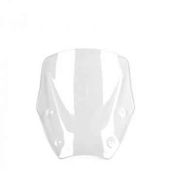 带雷达的 M 挡风玻璃 BMW R1300GS（2023 年起）