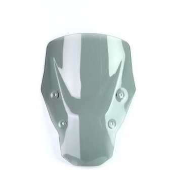 不带雷达的 M 屏 BMW R1300GS（2023 年起）