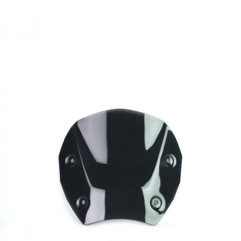 带雷达的 S 屏 BMW R1300GS（2023 年起）