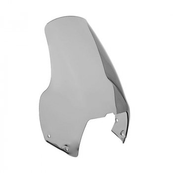 标准屏 R1100 GS (1994-1999)