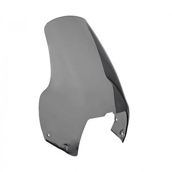 标准屏 R1100 GS (1994-1999)