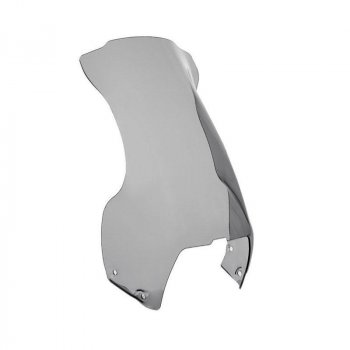 旅行屏幕 R1100 GS (1994-1999)