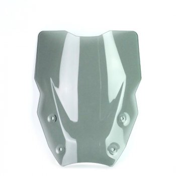 带雷达的 XL 屏幕 BMW R1300GS（2023 年起）