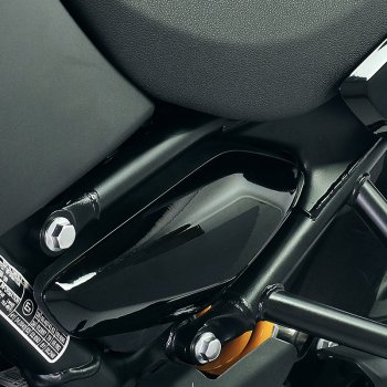 Royal Enfield Himalayan 450 亮黑色侧板（2024 年起）