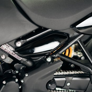 Royal Enfield Himalayan 450 亮黑色侧板（2024 年起）