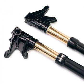 前叉 Ohlins R NineT 黑色（2017 年起）