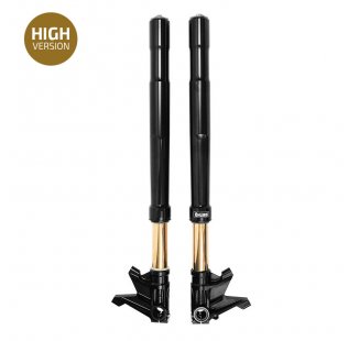 Ohlins R nineT 黑叉高配版（2017年起）