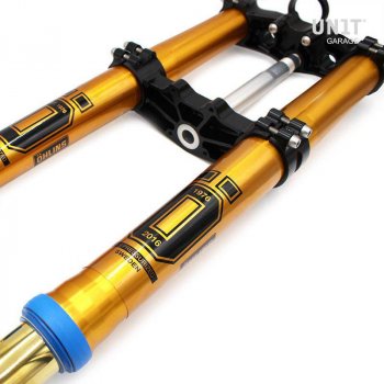 Ténéré700 RXF 48前叉，带板