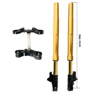 Ohlins USD叉子套件+单位车库板和脚