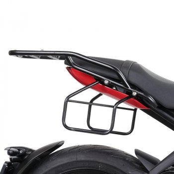 带乘客把手的后托架 Triumph Trident 660