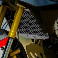 宝马 F450GS 散热器护罩